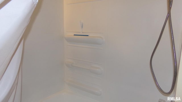 805 W Race St, Ridgway, IL 62979 - interior details featuring bathtub / shower combination
