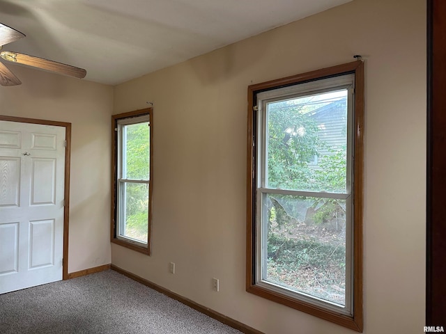 401 W Monroe St Unit 3, Carbondale, IL 62901 - photo 20
