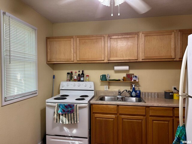 401 W Monroe St Unit 3, Carbondale, IL 62901 - photo 32