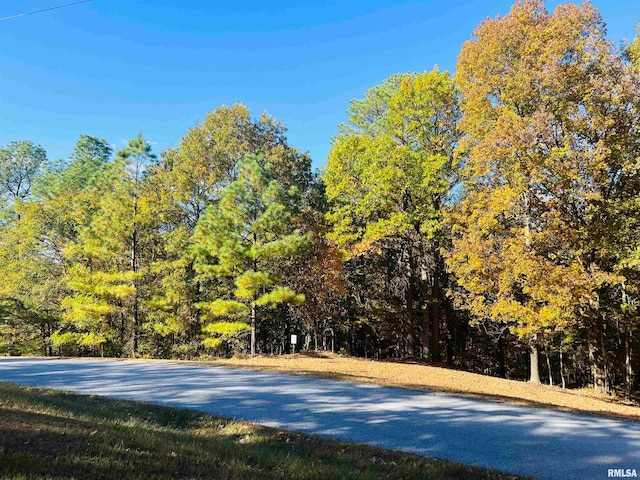 LOT39 Luxor Landing Ln, Goreville IL, 62939 land for sale