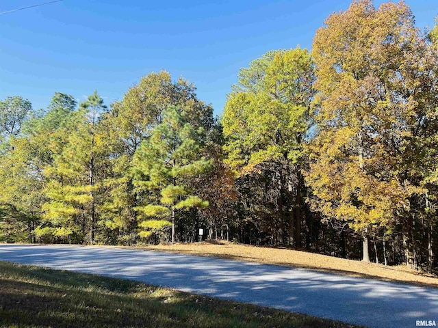 LOT39 Luxor Landing Ln, Goreville, IL 62939 - photo 1