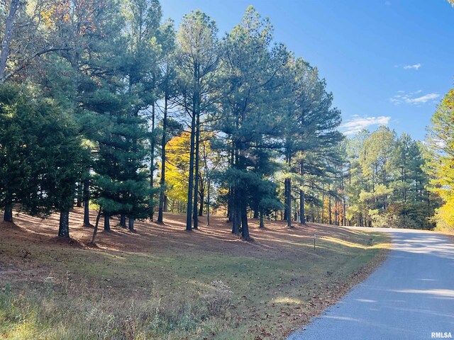 LOT39 Luxor Landing Ln, Goreville, IL 62939 - photo 2