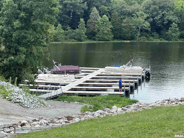 LOT39 Luxor Landing Ln, Goreville, IL 62939 - photo 13