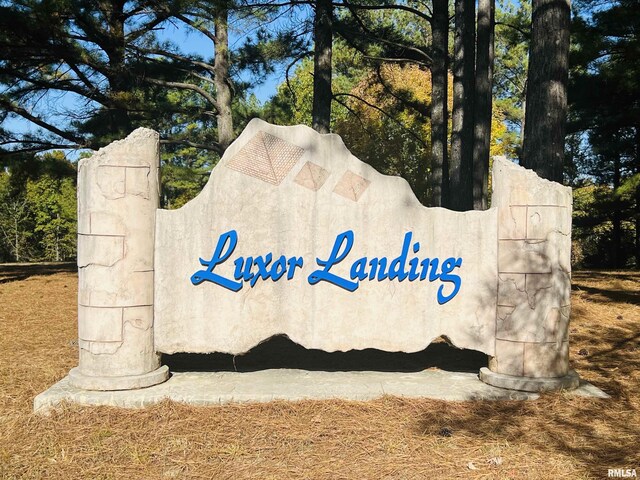 LOT39 Luxor Landing Ln, Goreville, IL 62939 - photo 14