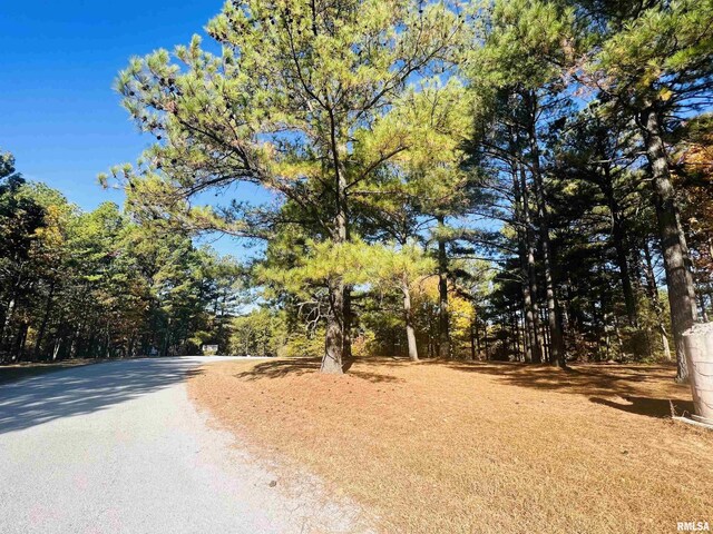LOT39 Luxor Landing Ln, Goreville, IL 62939 - photo 18