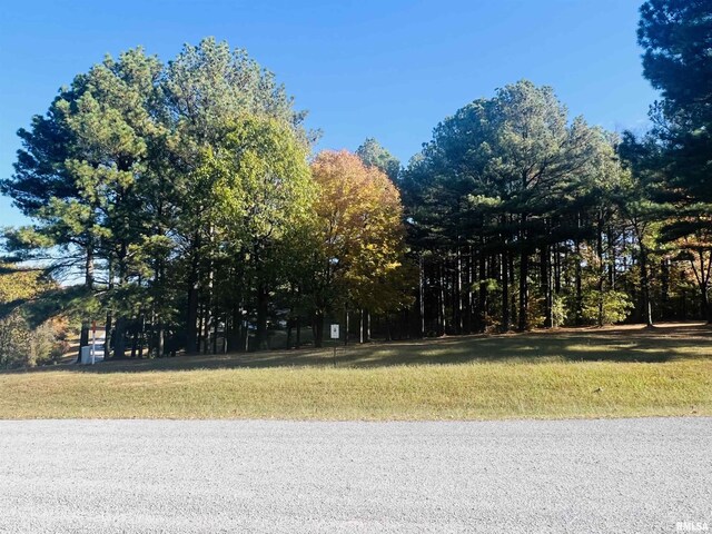 LOT39 Luxor Landing Ln, Goreville, IL 62939 - photo 20