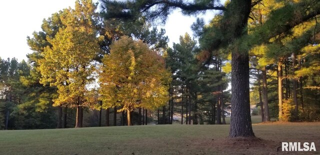 LOT39 Luxor Landing Ln, Goreville, IL 62939 - photo 3