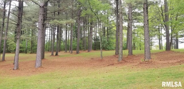 LOT39 Luxor Landing Ln, Goreville, IL 62939 - photo 4