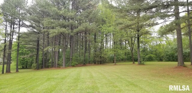 LOT39 Luxor Landing Ln, Goreville, IL 62939 - photo 5