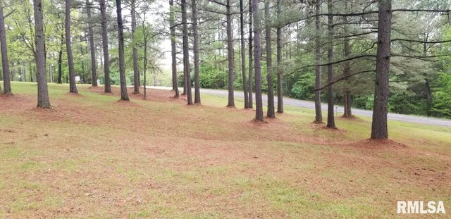 LOT39 Luxor Landing Ln, Goreville, IL 62939 - photo 6