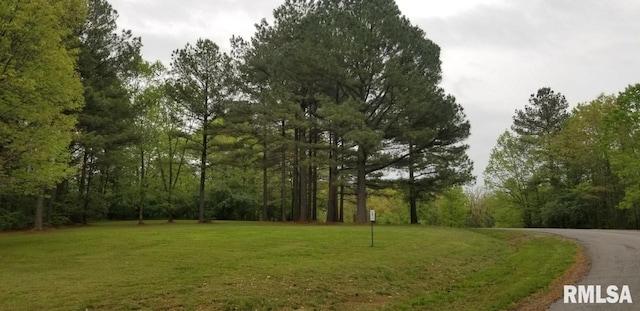 LOT39 Luxor Landing Ln, Goreville, IL 62939 - photo 7