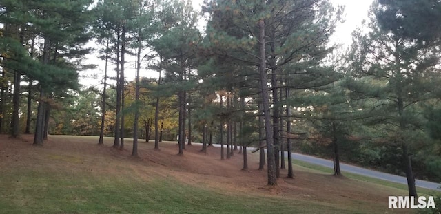 LOT39 Luxor Landing Ln, Goreville, IL 62939 - photo 8