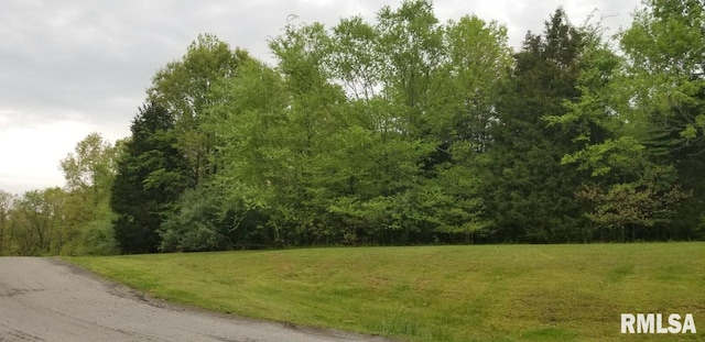 Listing photo 3 for LOT82 Saluki Way, Goreville IL 62939