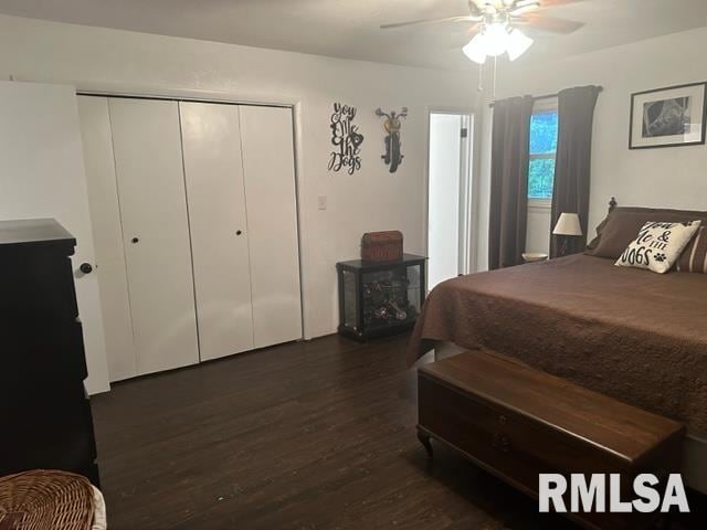 bedroom featuring a closet, ceiling fan, and dark hardwood / wood-style floors