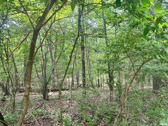 000 Hidden Creek Rd, Carbondale IL, 62903 land for sale