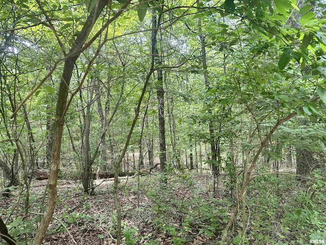 000 Hidden Creek Rd, Carbondale, IL 62903 - photo 1