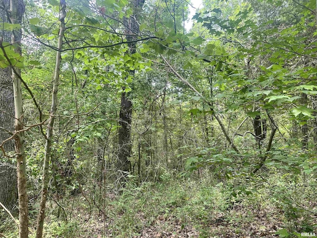 000 Hidden Creek Rd, Carbondale, IL 62903 - photo 2