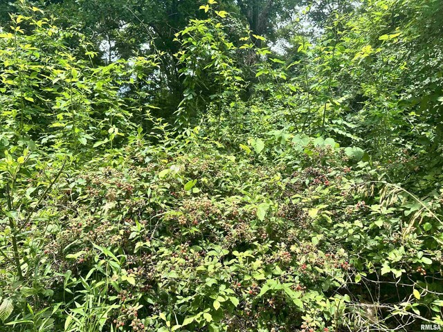 000 Hidden Creek Rd, Carbondale, IL 62903 - photo 11