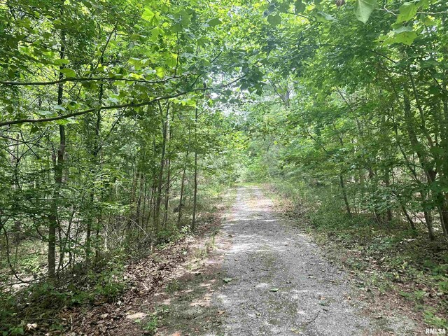 000 Hidden Creek Rd, Carbondale, IL 62903 - photo 13