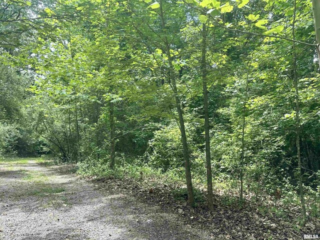 000 Hidden Creek Rd, Carbondale, IL 62903 - photo 14