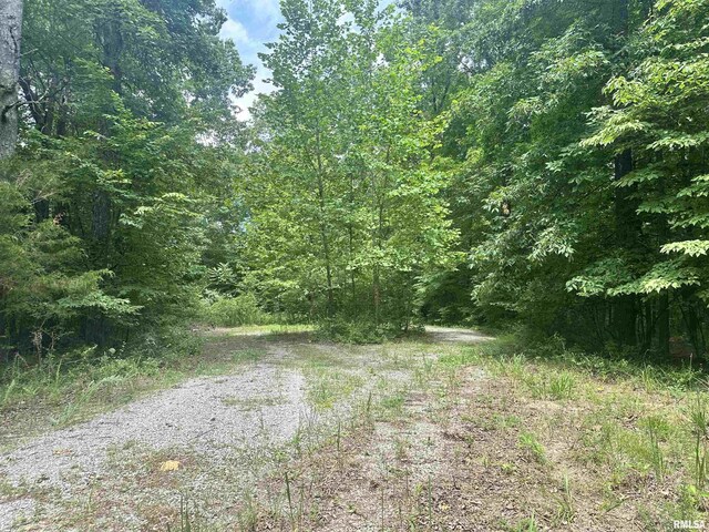 000 Hidden Creek Rd, Carbondale, IL 62903 - photo 15
