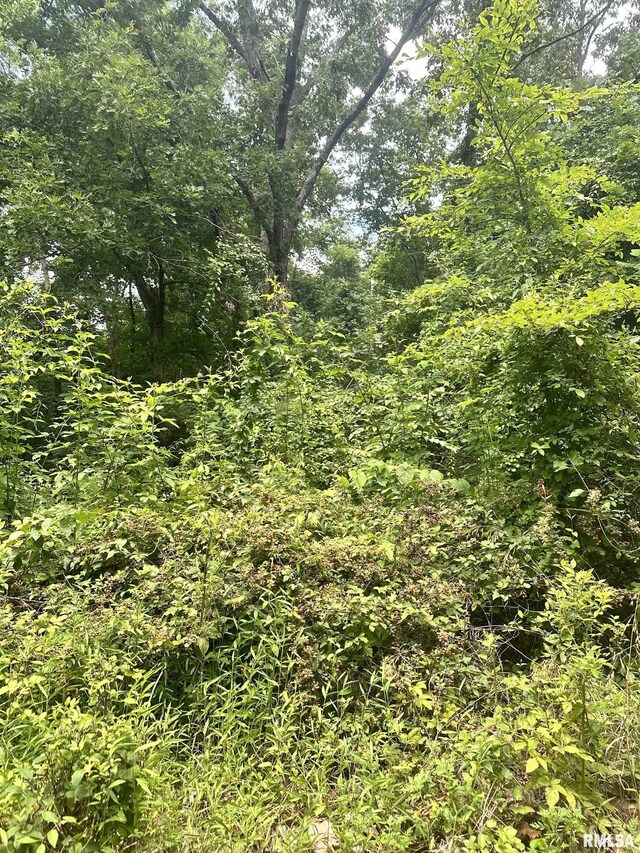 000 Hidden Creek Rd, Carbondale, IL 62903 - photo 16
