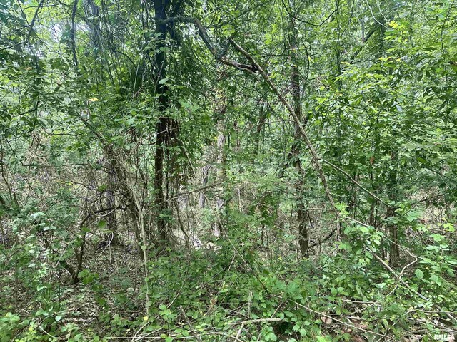 000 Hidden Creek Rd, Carbondale, IL 62903 - photo 3