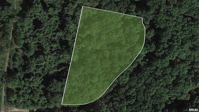 000 Hidden Creek Rd, Carbondale, IL 62903 - photo 5