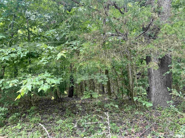 000 Hidden Creek Rd, Carbondale, IL 62903 - photo 6