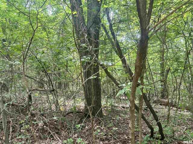 000 Hidden Creek Rd, Carbondale, IL 62903 - photo 7