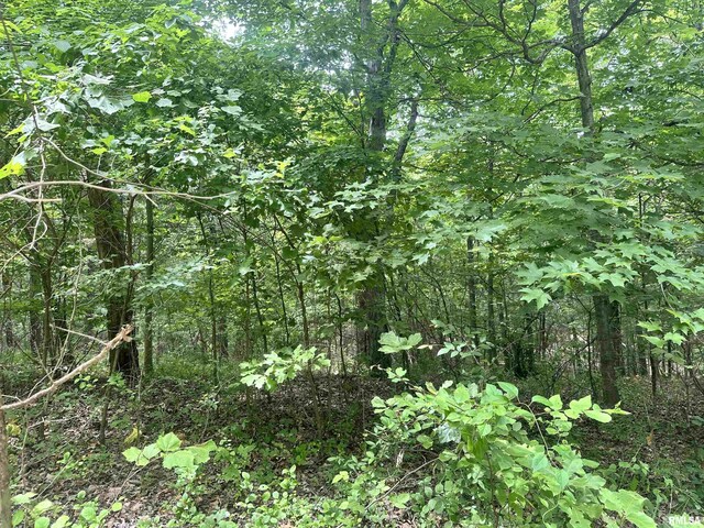 000 Hidden Creek Rd, Carbondale, IL 62903 - photo 8