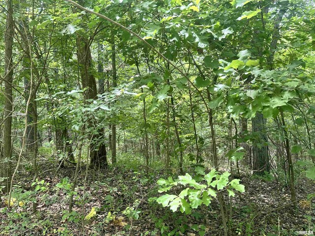 000 Hidden Creek Rd, Carbondale, IL 62903 - photo 9