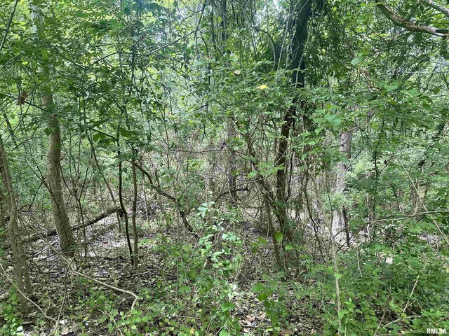 000 Hidden Creek Rd, Carbondale, IL 62903 - photo 10