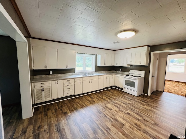 kitchen with electric stove, a healthy amount of sunlight, dark hardwood / wood-style flooring, and white cabinets