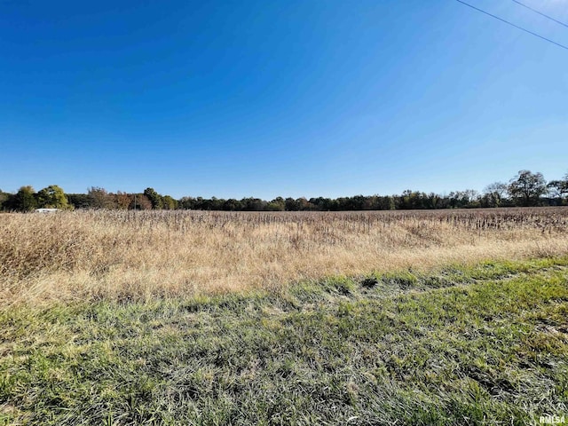 view of local wilderness with a rural view