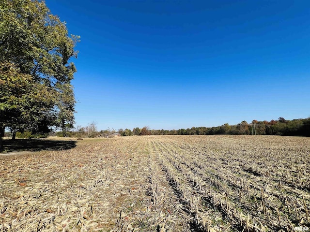 view of local wilderness with a rural view