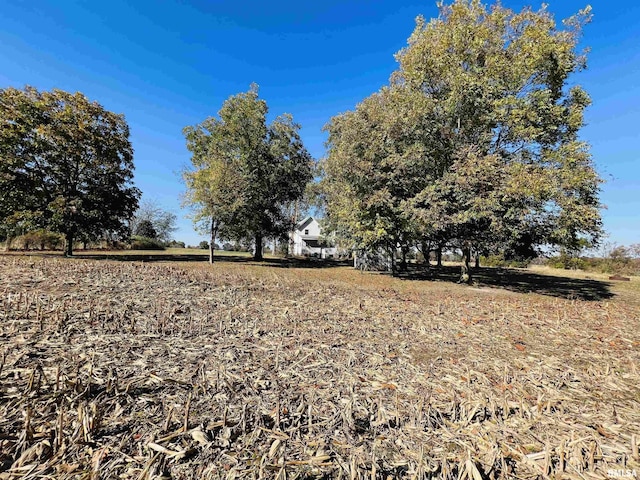 view of yard with a rural view