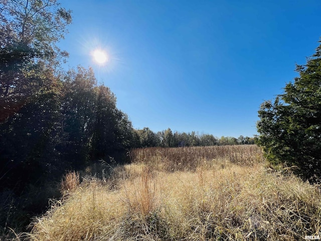 view of landscape with a rural view