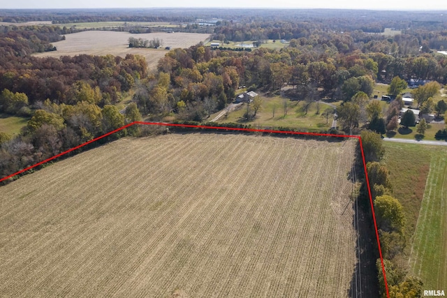 drone / aerial view featuring a rural view