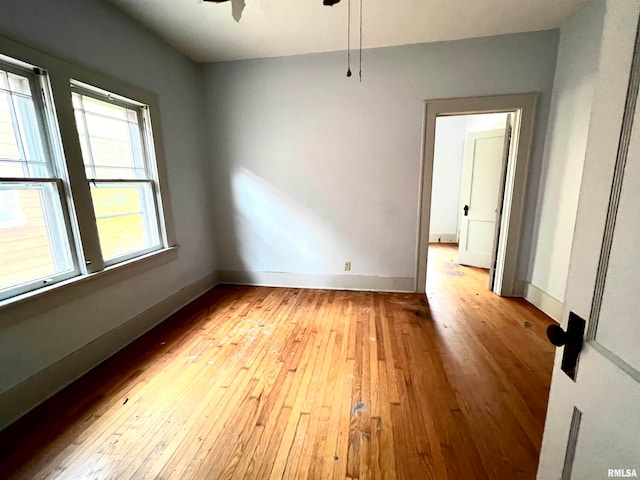 610 W Elm St, Carbondale, IL 62901 - photo 11