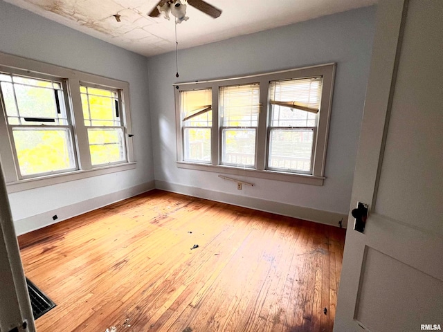 610 W Elm St, Carbondale, IL 62901 - photo 10