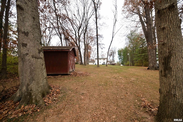 view of yard featuring a storage unit