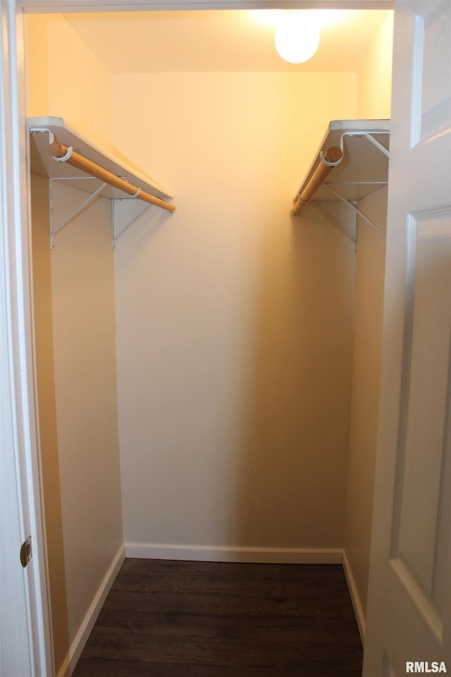 walk in closet featuring dark hardwood / wood-style floors