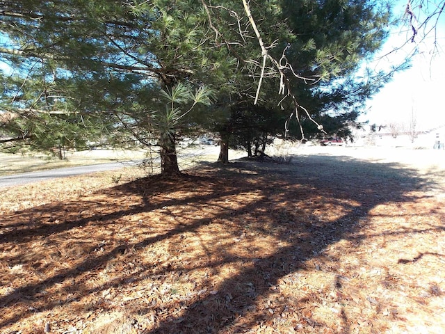 1966 Ross Rd, Centralia, IL 62801 - photo 6
