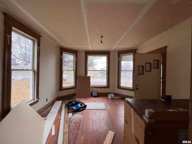 kitchen featuring wood-type flooring and a healthy amount of sunlight