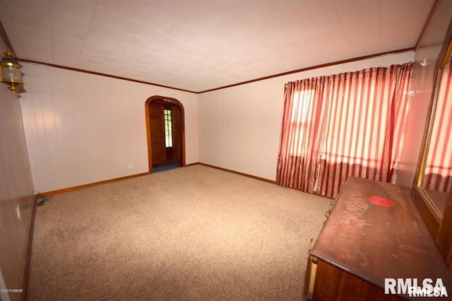 carpeted spare room featuring ornamental molding