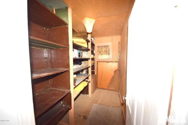 view of storage room