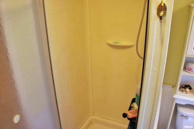 room details with toilet and a tile shower