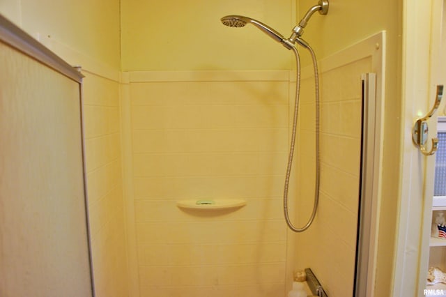 interior details featuring tiled shower