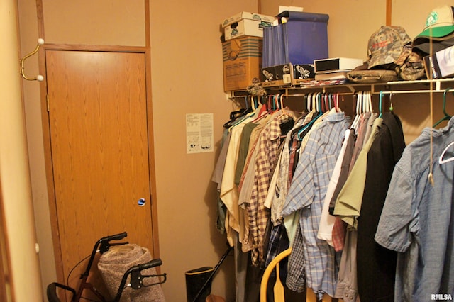 view of spacious closet